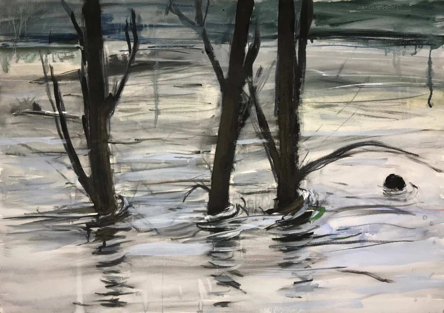 View from the riverbank