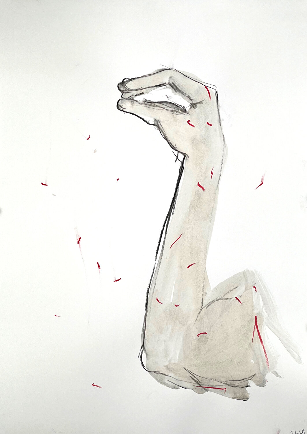 Mite arm series No. 64