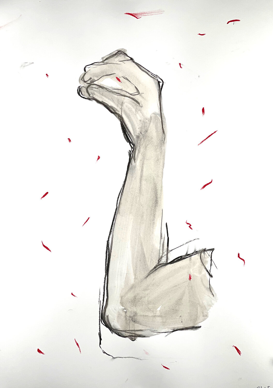 Mite arm series No. 65