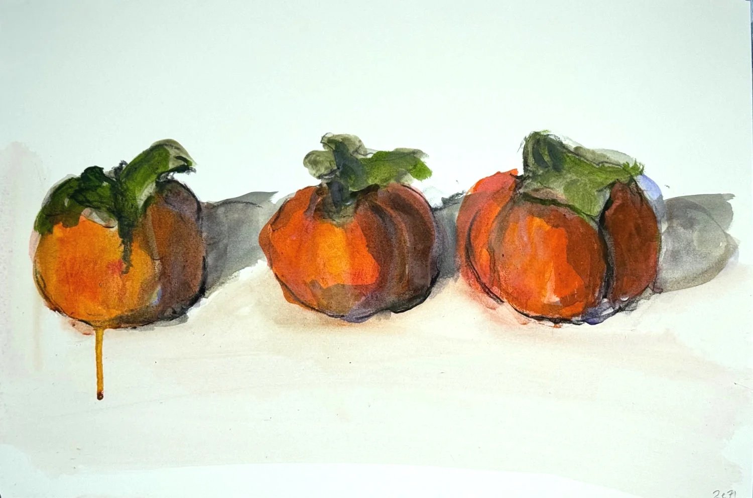 My three persimmons 1 