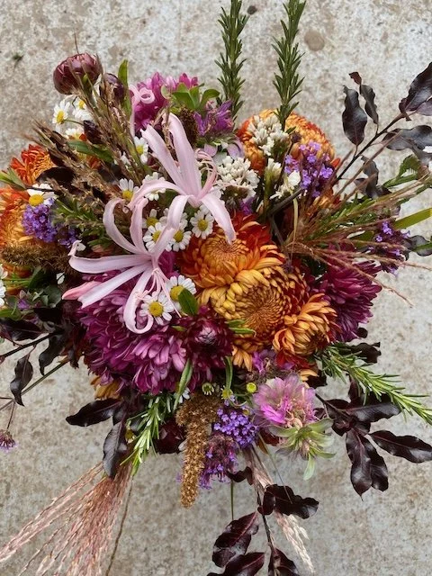 What's available from flower farms in the UK in November