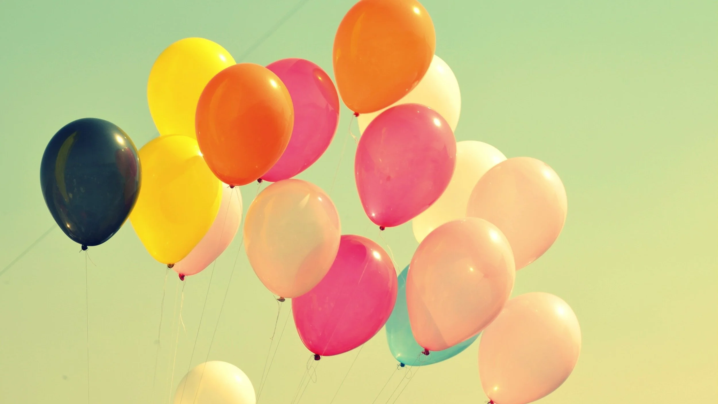 THANK YOU for answering our call to give !