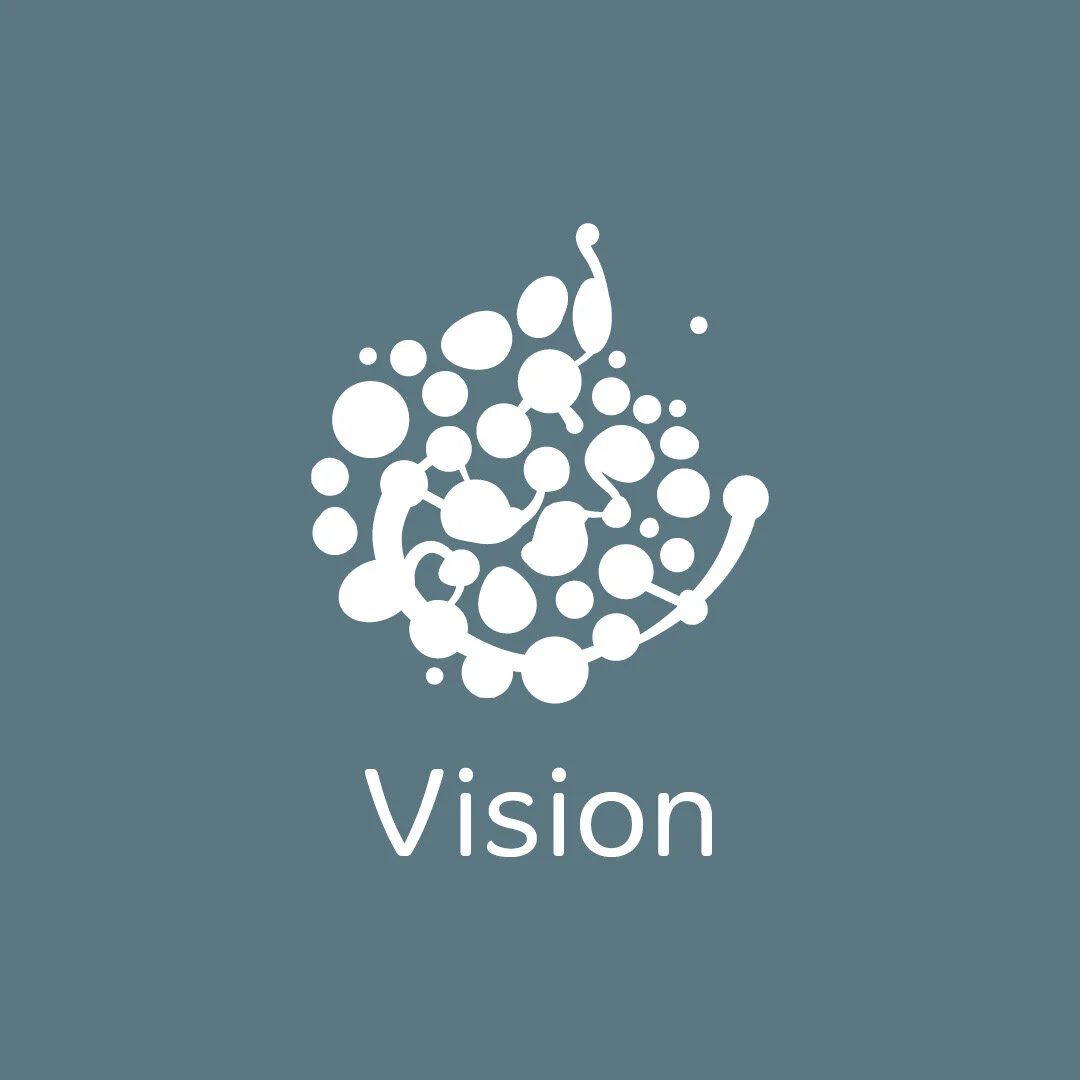 Our Vision