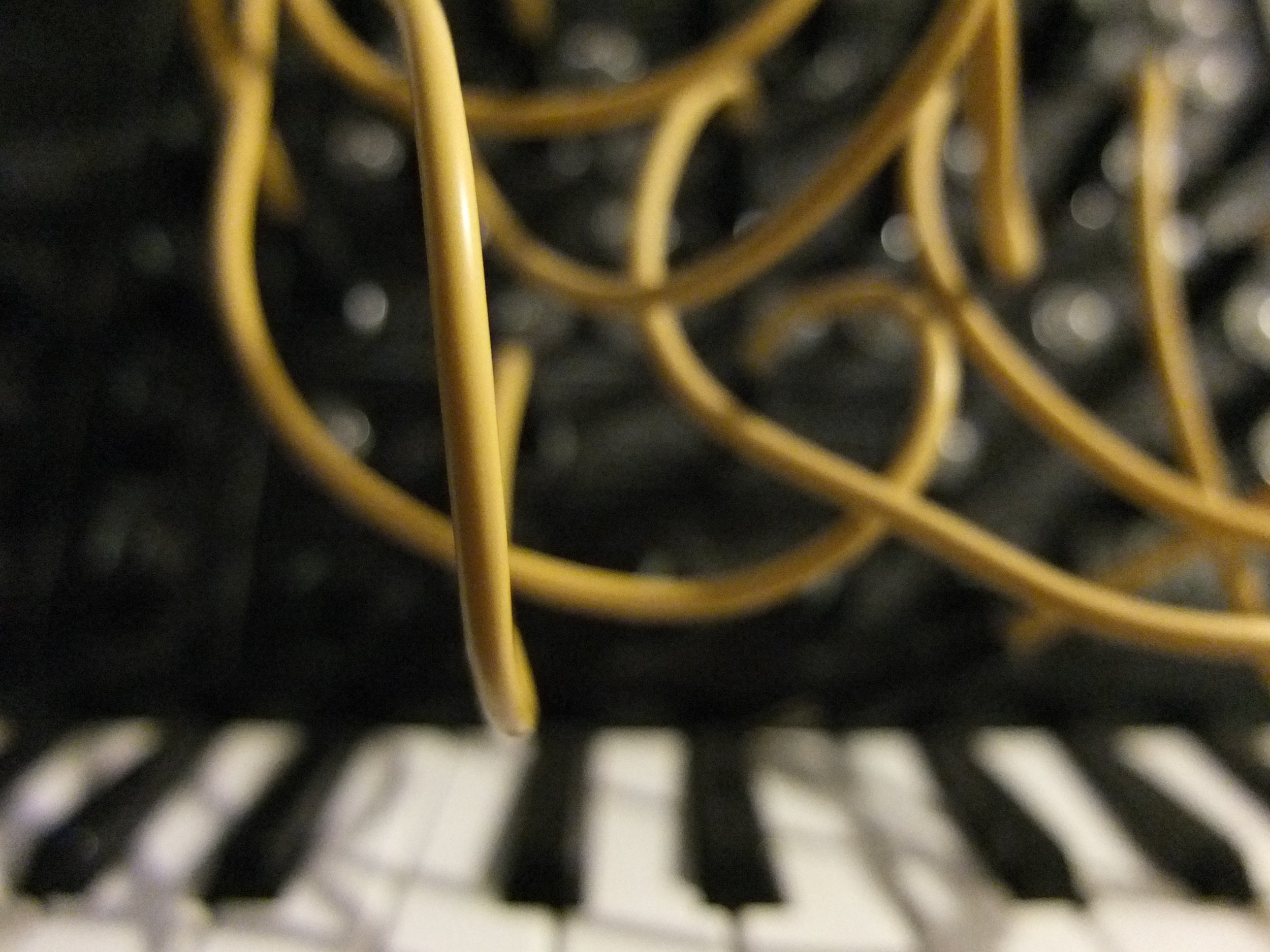 DSCF1588.JPG