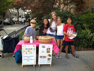 a new lemonade stand fundraiser for Lucy's second year.