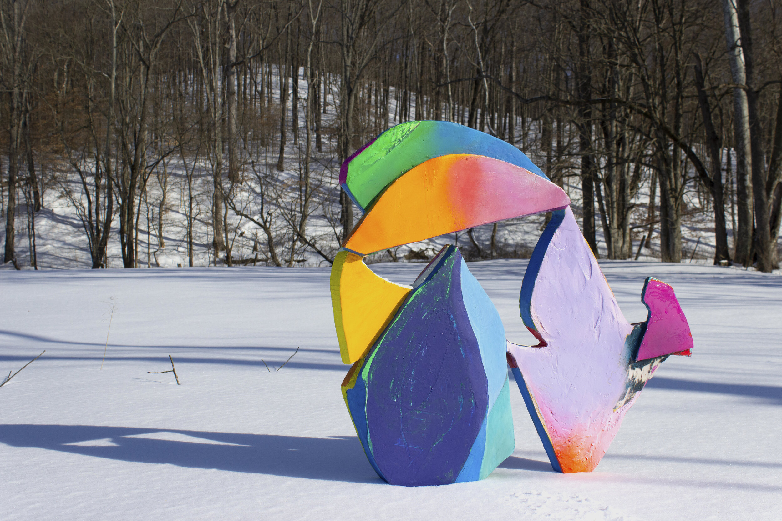  Zoom Land, 2020, Temporarily installed in Morgan-Monroe State Forest, Bloomington, IN 