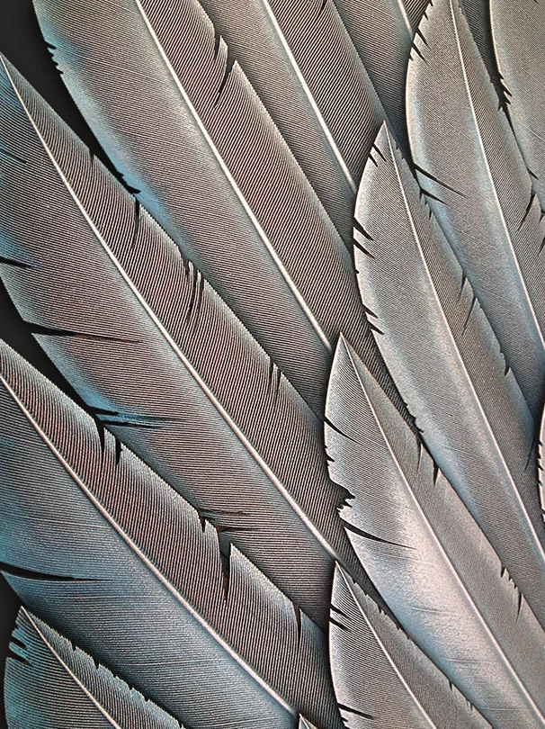 M&M_Copper Feathers_Close-Up.jpg