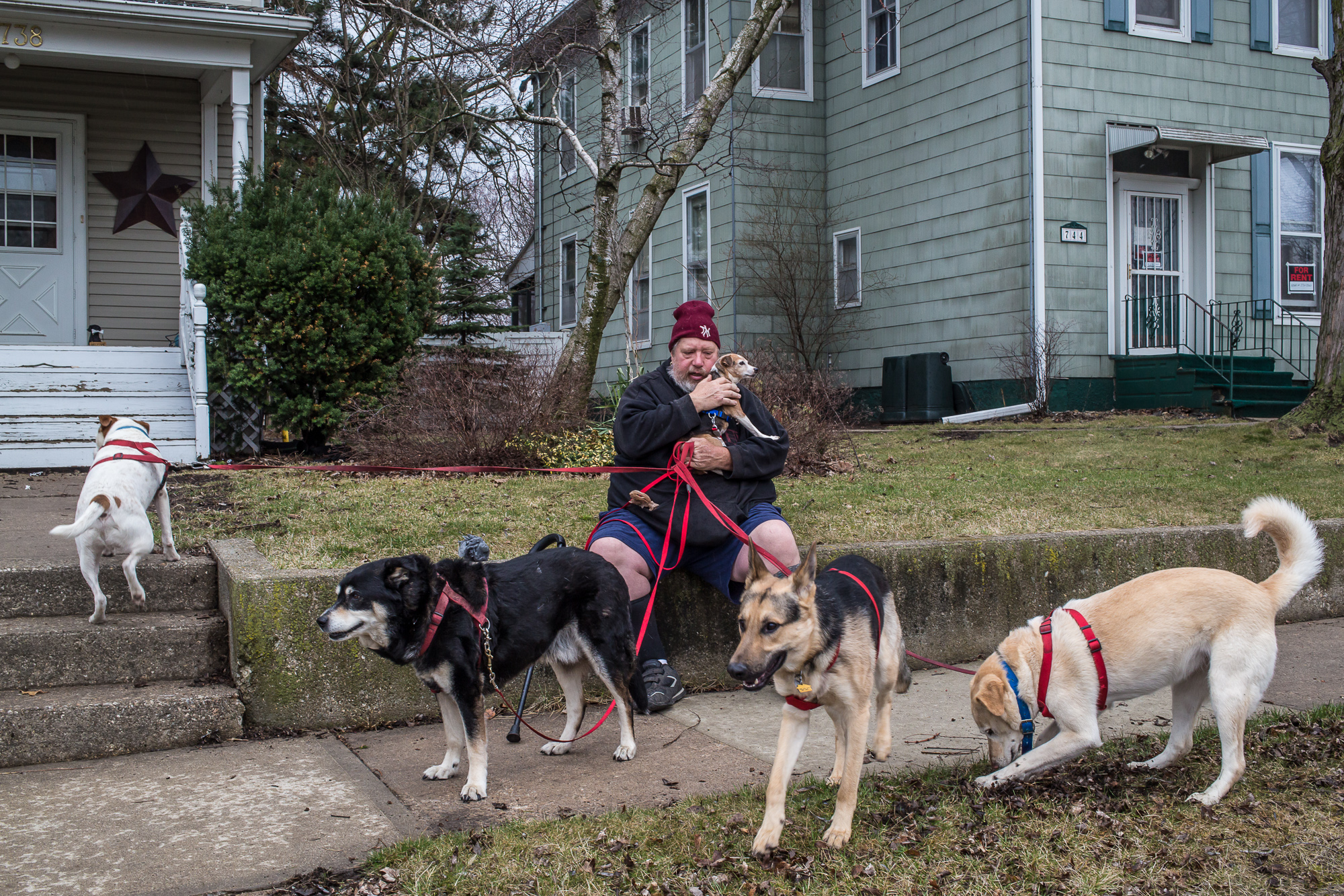  Mark Shepard with some of his dogs on Monday, April 22, 2013 in Webster City, IA. 