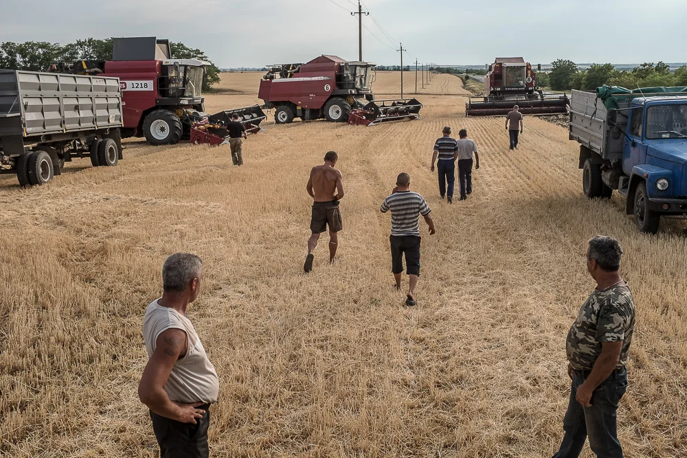 Harvest