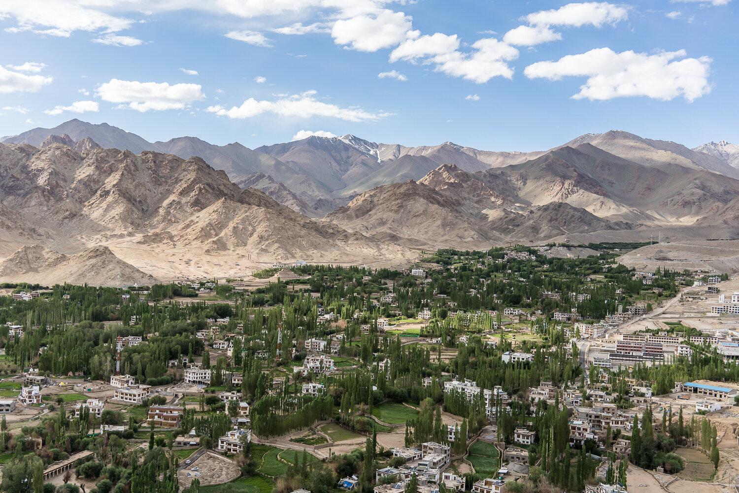  A view of the city from the Namgyal Tsemo Temple on Thursday, August 8, 2019 in Leh, Ladakh, India. The green areas reflect the original settlement of the valley with ready access to streams and springs. 