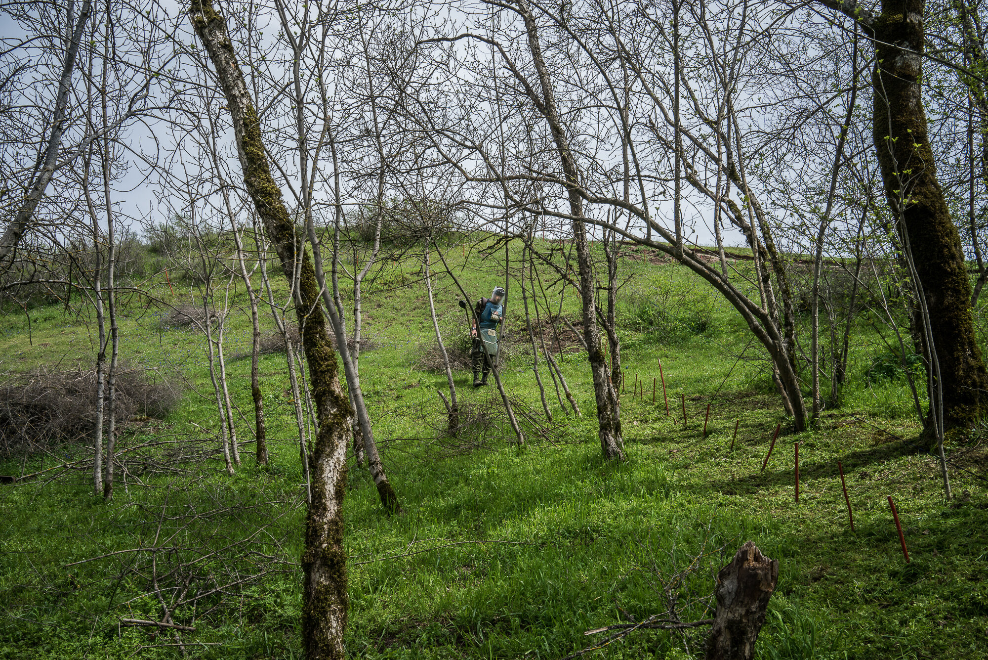  Armen Ussoyan, a deminer with the charity HALO Trust, works to clear a minefield. Hagob Kamari, Nagorno-Karabakh. 2015. 