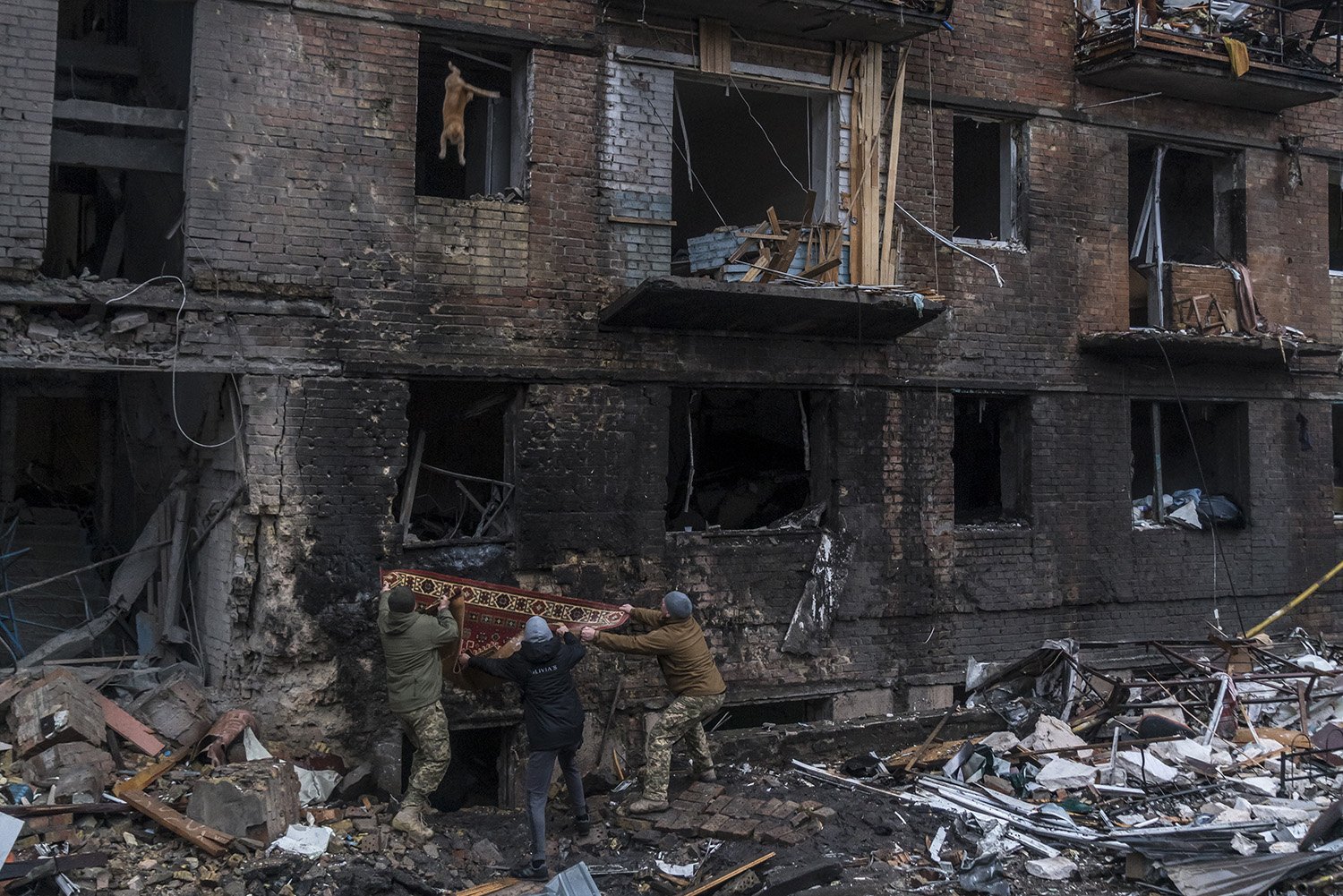  Men hold a blanket to catch a frightened cat as it falls from the fifth floor balcony of a residential building that was struck by a Russian missile the previous day on Thursday, November 24, 2022 in Vyshhorod, Ukraine. 