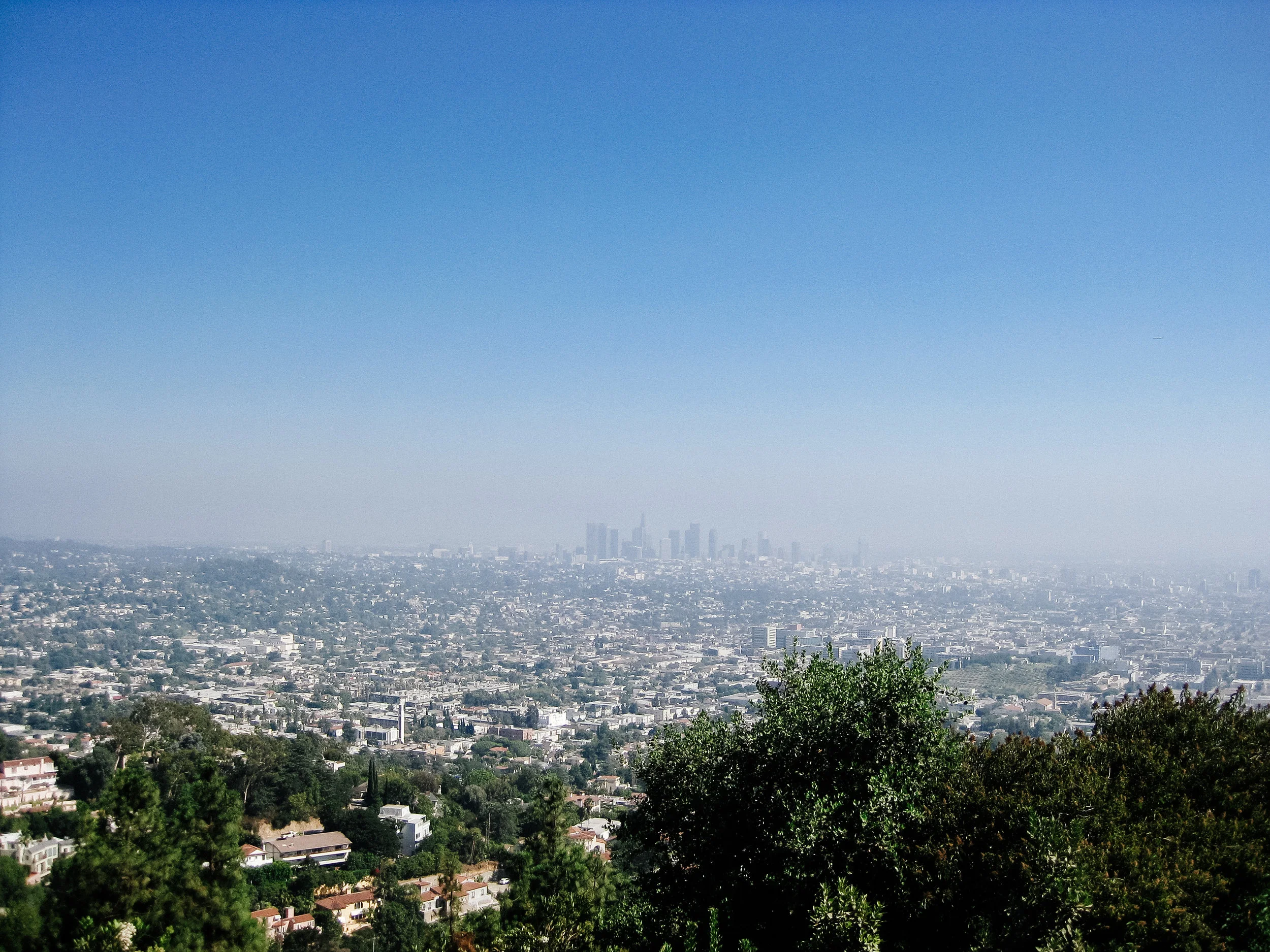Cali ReEdits-37.jpg