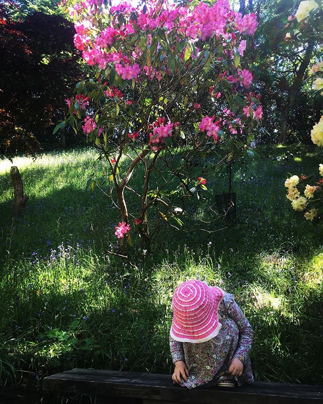 Pretty in pink 💗 #rockpoolholidays @nationaltrust @ntglendurgannhelford #mayflowers #prettyinpink