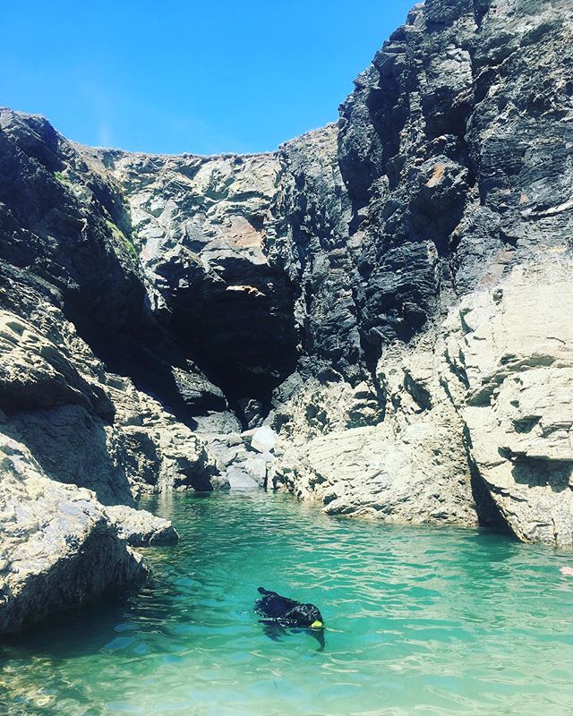 Another day another #Rockpool... Summer is in full swing here in Kernowfornia. We still have a week left at Bunny Cottage in August so snap it up before it goes #rockpoolholidays #anotherdayanotherbeach #dogfriendly #beach #cornwall