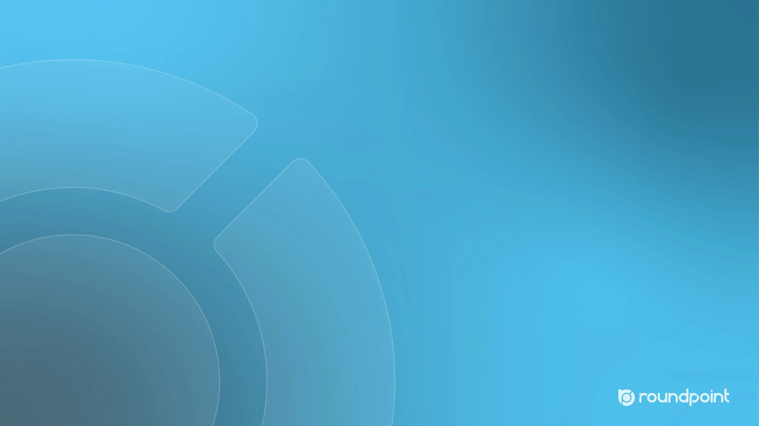 RoundPoint Zoom BG_Professional_1.jpg