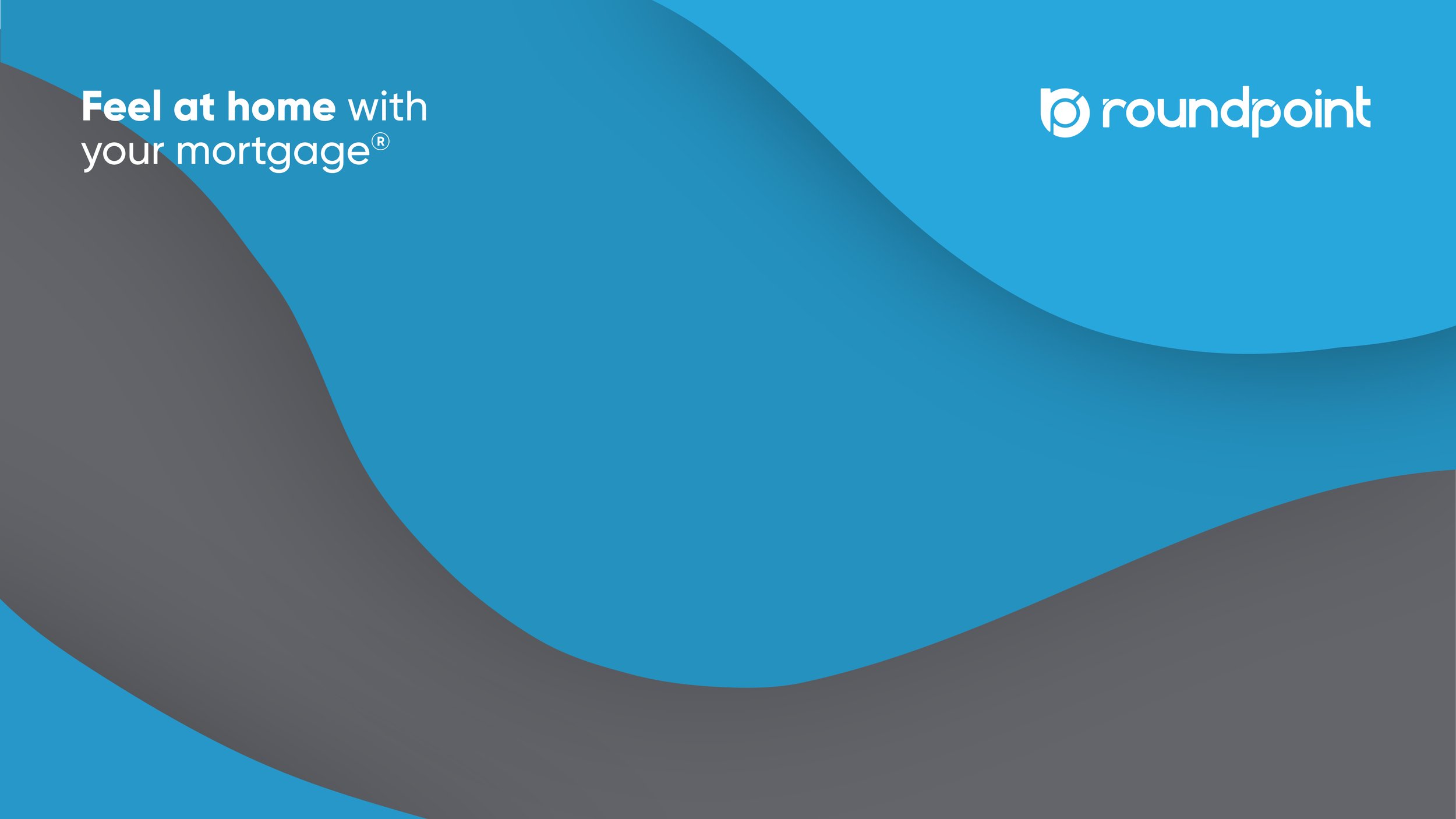 RoundPoint Zoom BG_Professional_5.jpg