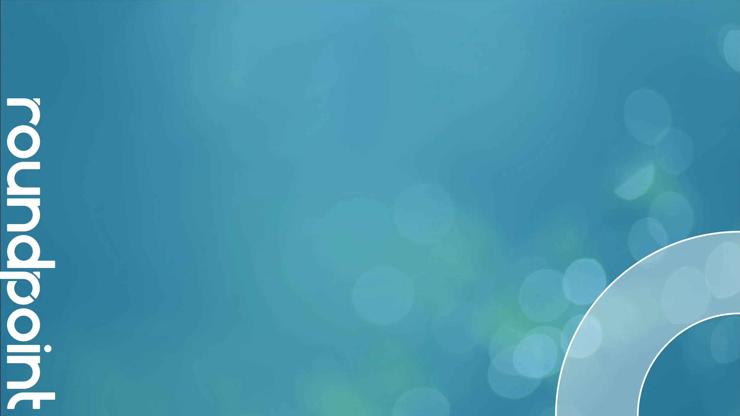 RoundPoint Zoom BG_Professional_4.jpg