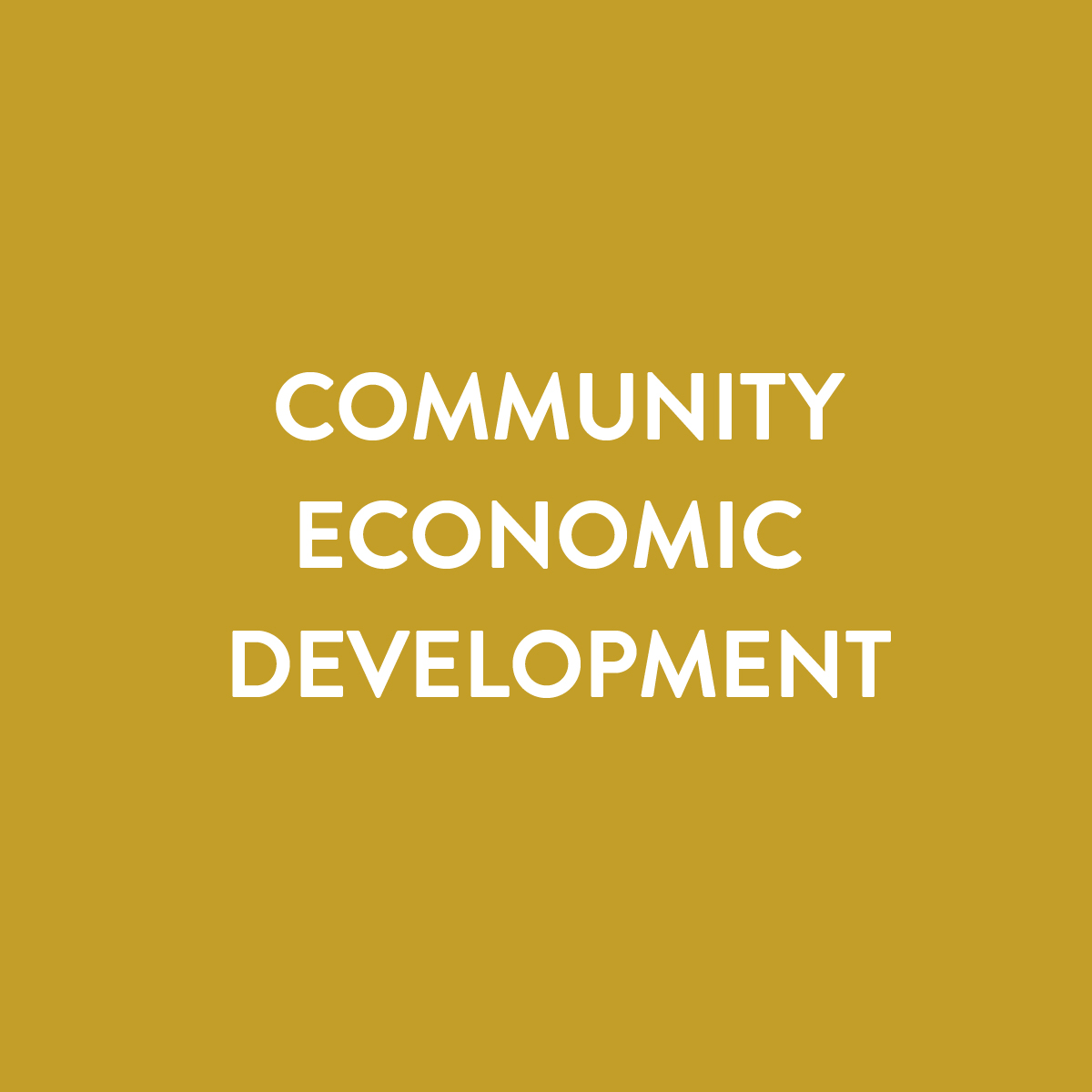 Community Economic Development@300x-100.jpg
