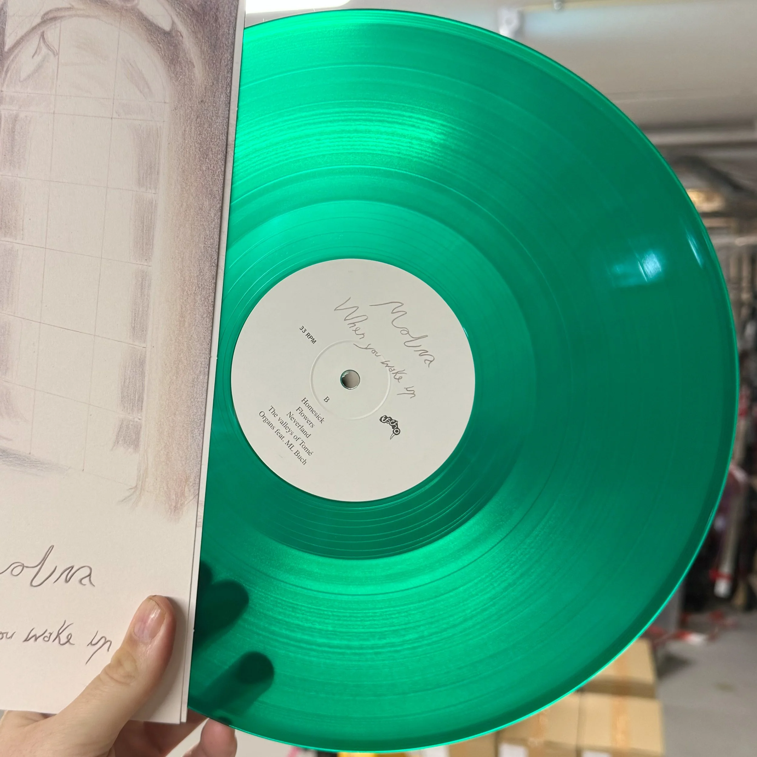 bandcamp green photo.jpg