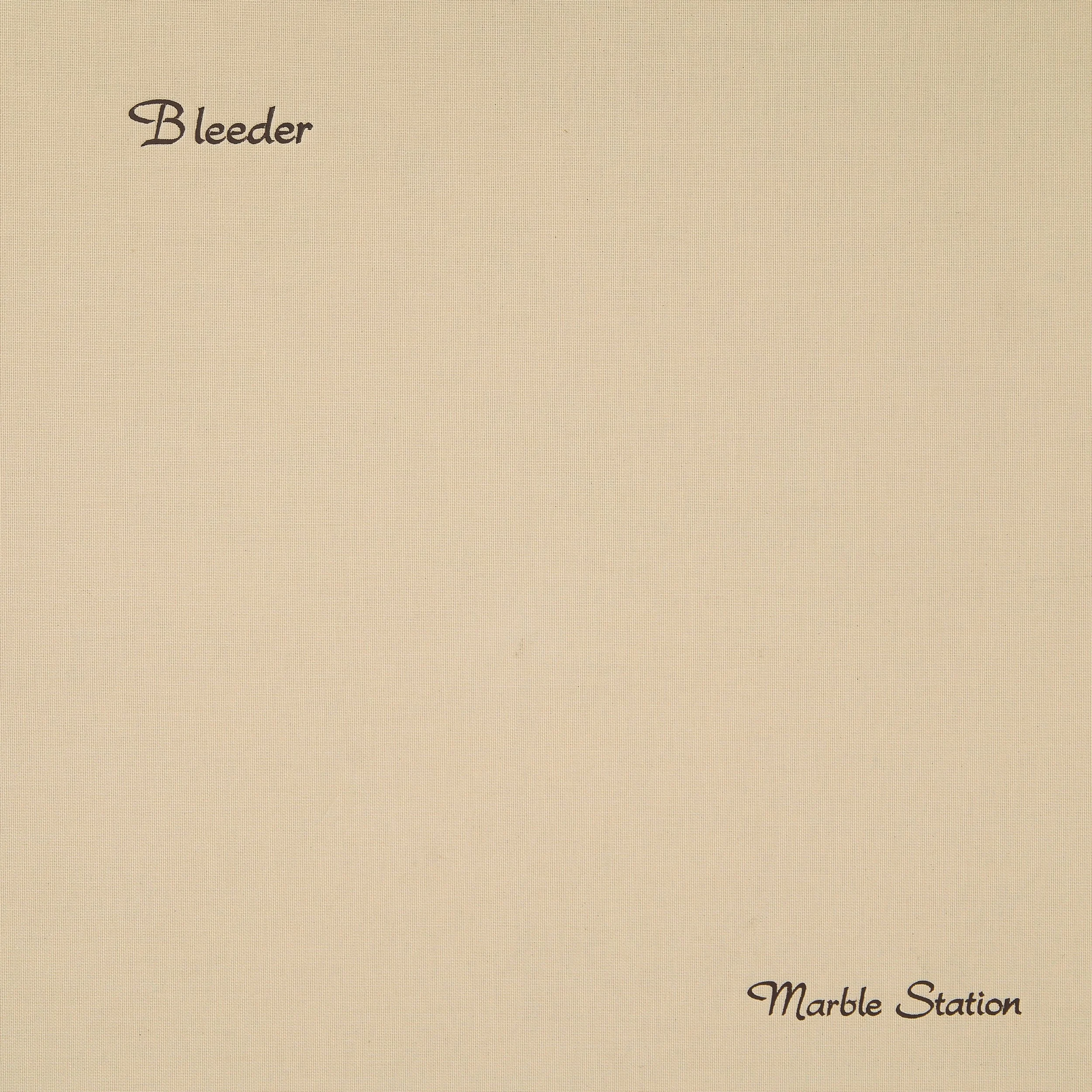 Bleedergroup - Marble station bandcamp.jpeg