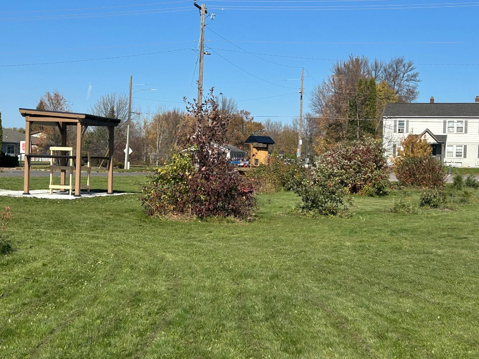 Food Forest 26 b.jpg