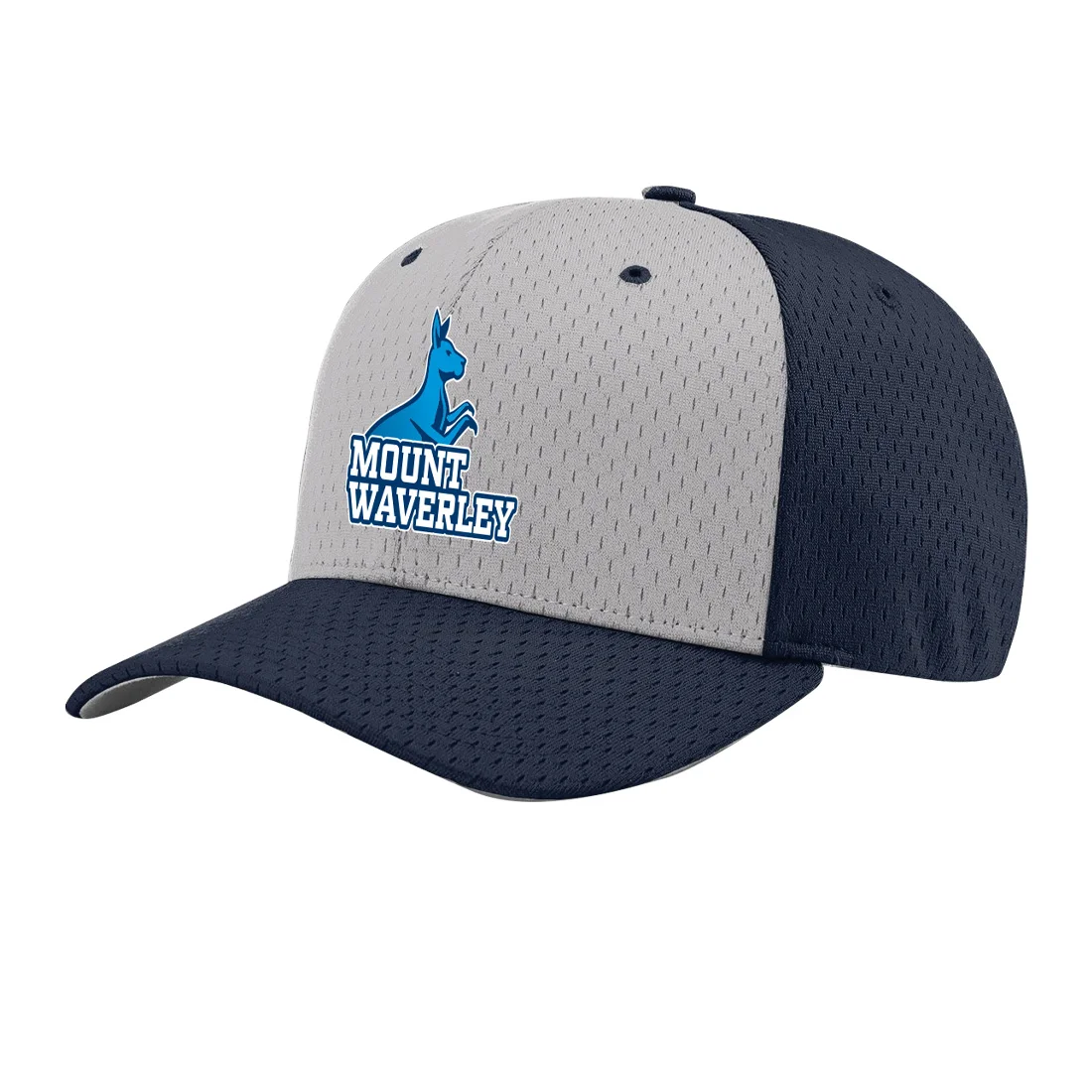 richardsoncaps2Artboard 1 copy 3.jpg