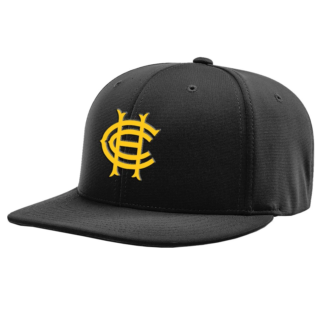 Richardson PTS20 Social Cap