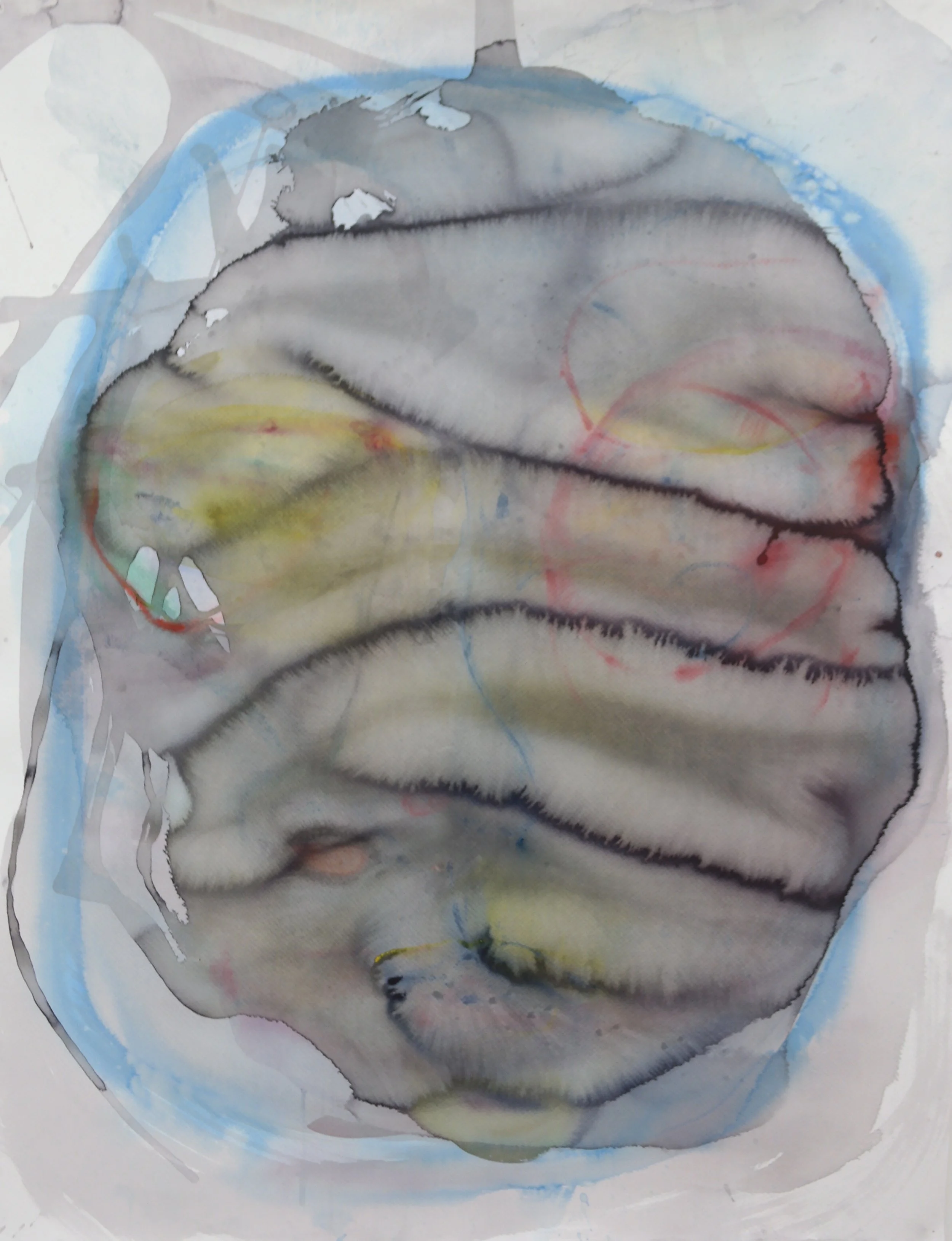 Gib mir mein Gesicht zurück, 2016 , Serie aus 5 Aquarellmalereien auf Papier, alle ca 100 x 130 cm
