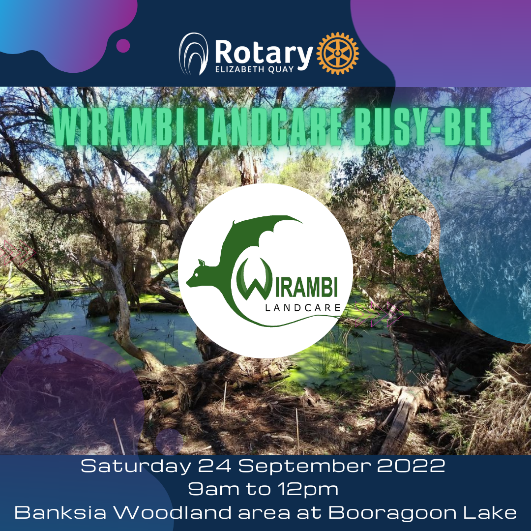 Wirambi Landcare Busy-bee - Booragoon Lake
