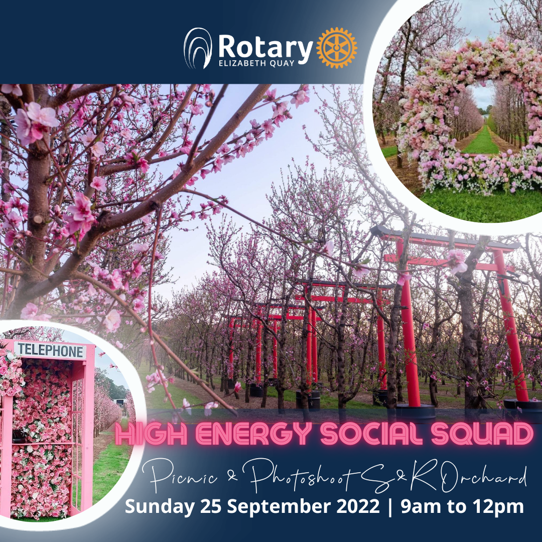 High Energy Social Squad - Picnic &amp; Photoshoot at S&amp;R Orchard