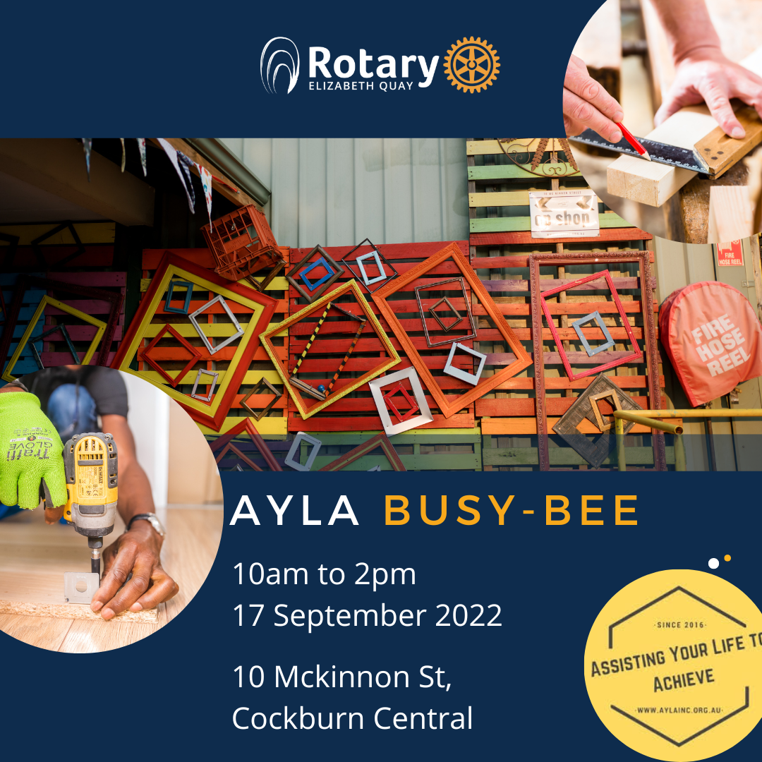 AYLA Busy Bee