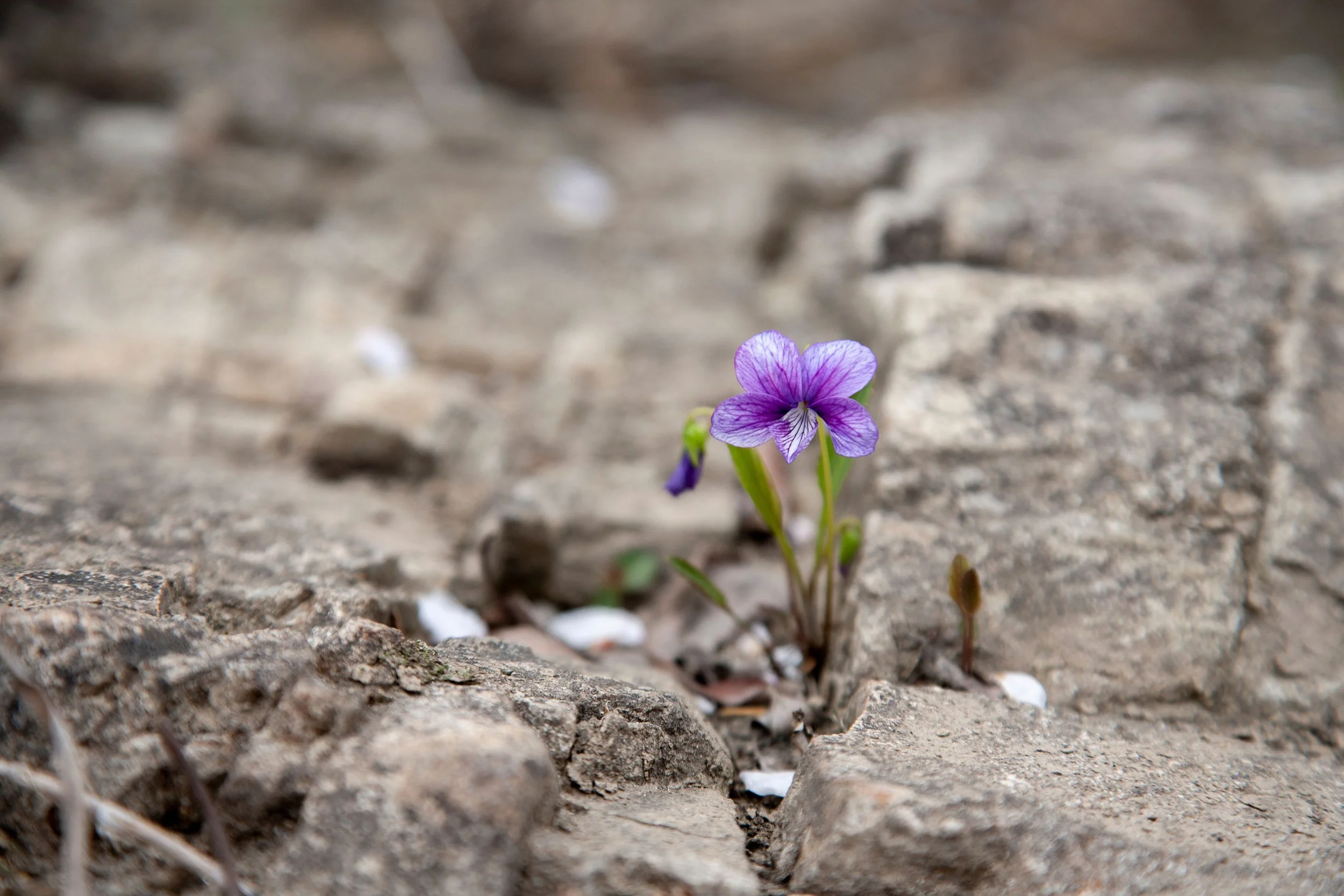 Top 5 Resiliency Speakers for High-Impact Events