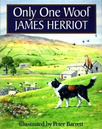 179eb7f570d35b14a6f62c9ac8e9e24a--james-herriot-book-illustrations.jpg