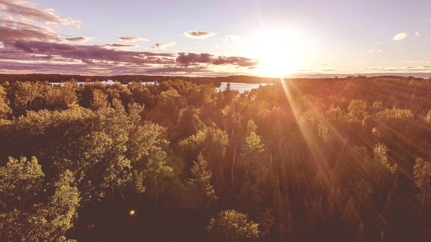 Nature.jpg