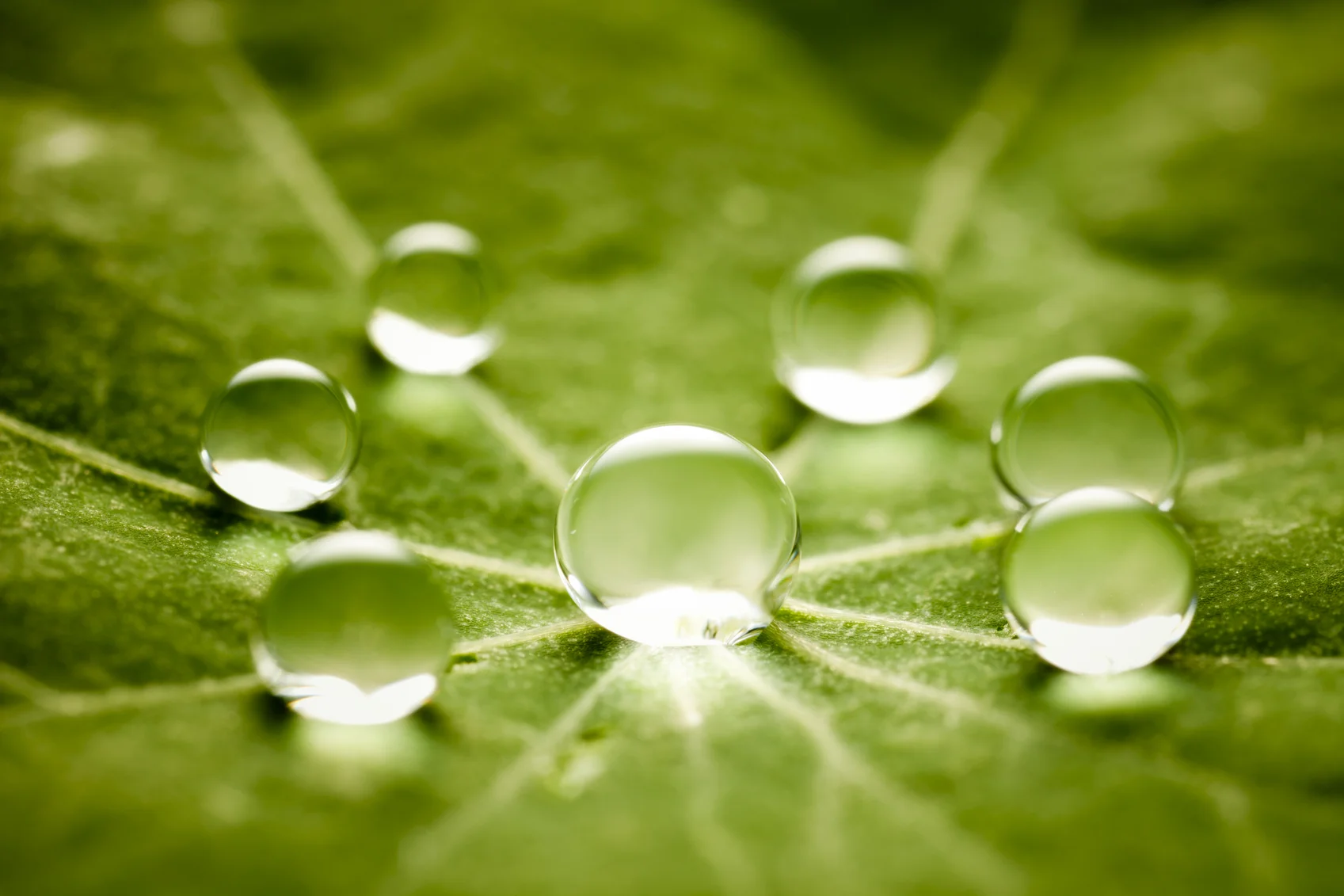 iStock_17007485_MEDIUM - Water Drops - Contact.jpg