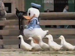 giphy-4.gif