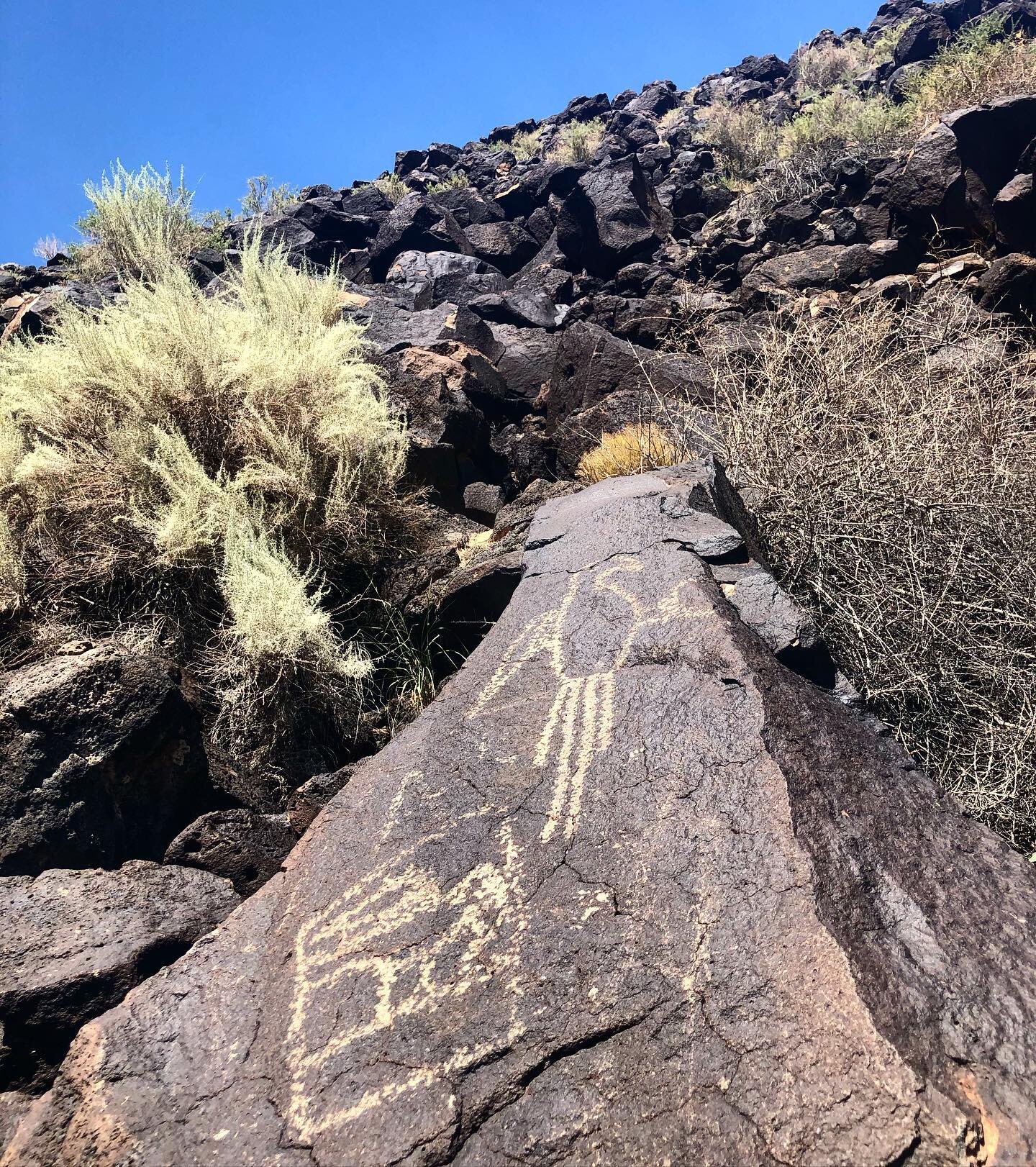 These Petroglyphs were created between 400-700 + years ago by the Ancestral Puebloans on these massive basalt rocks. This was most definitely a walk through the ages.