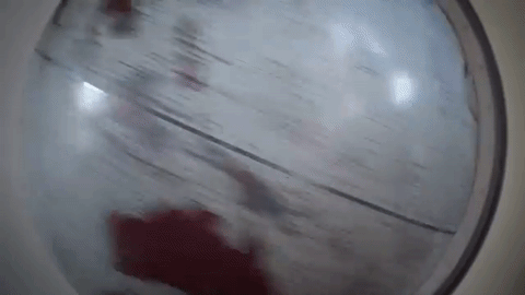 globe.gif