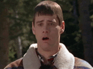 58cfa4275aa0d089853704-1.gif
