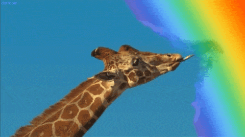 tumblr_mqq3ulNqOO1rpj04no1_r1_500.gif