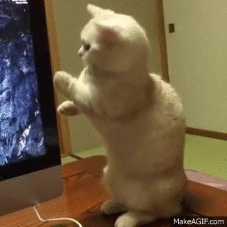 Posture.gif