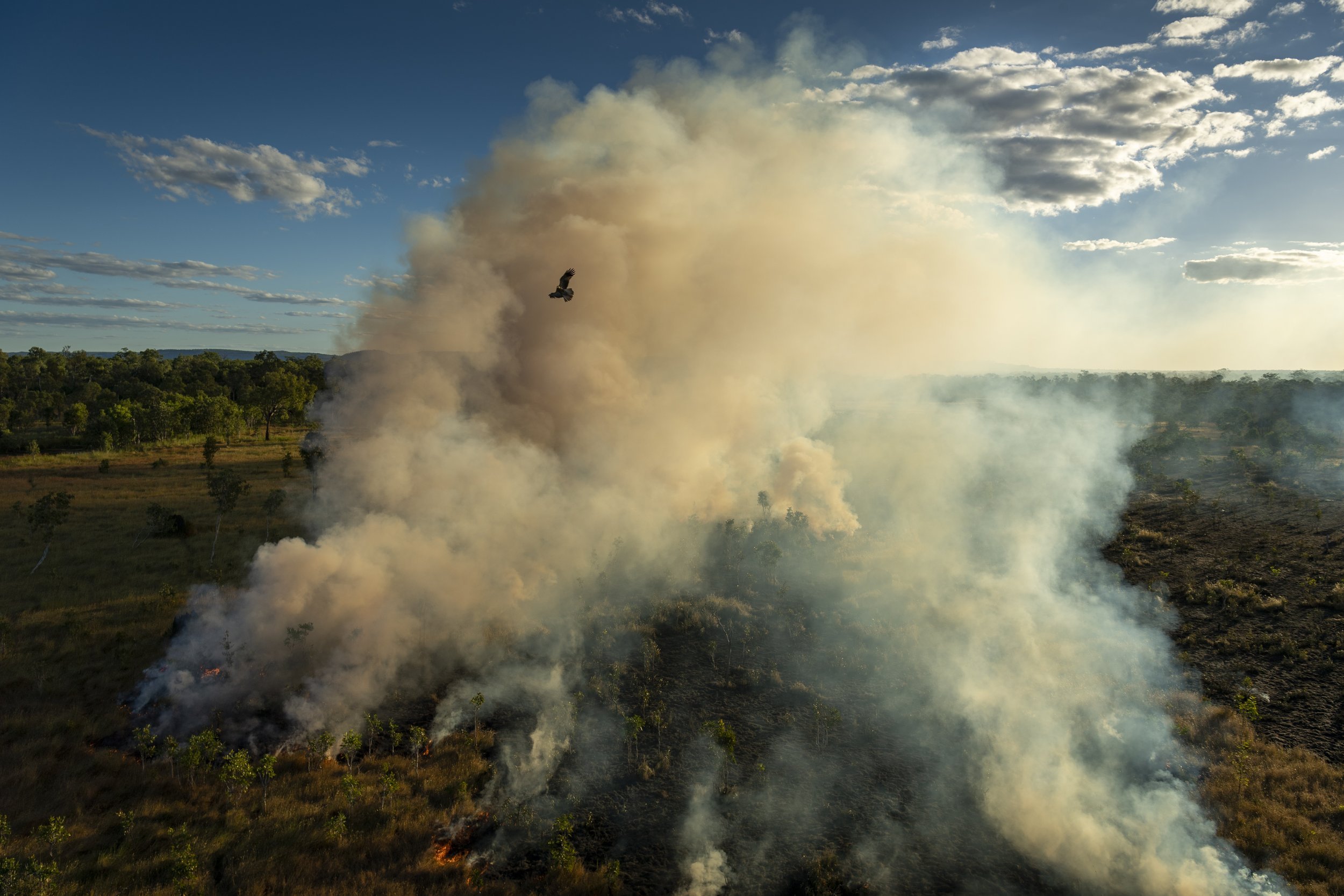 126_Southeast+Asia+and+Oceania_Stories_Matthew+Abbott_for+National+Geographic_Panos+Pictures.jpg