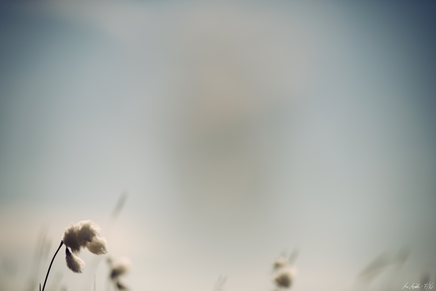 Signatur - minimalistisk 9.jpg