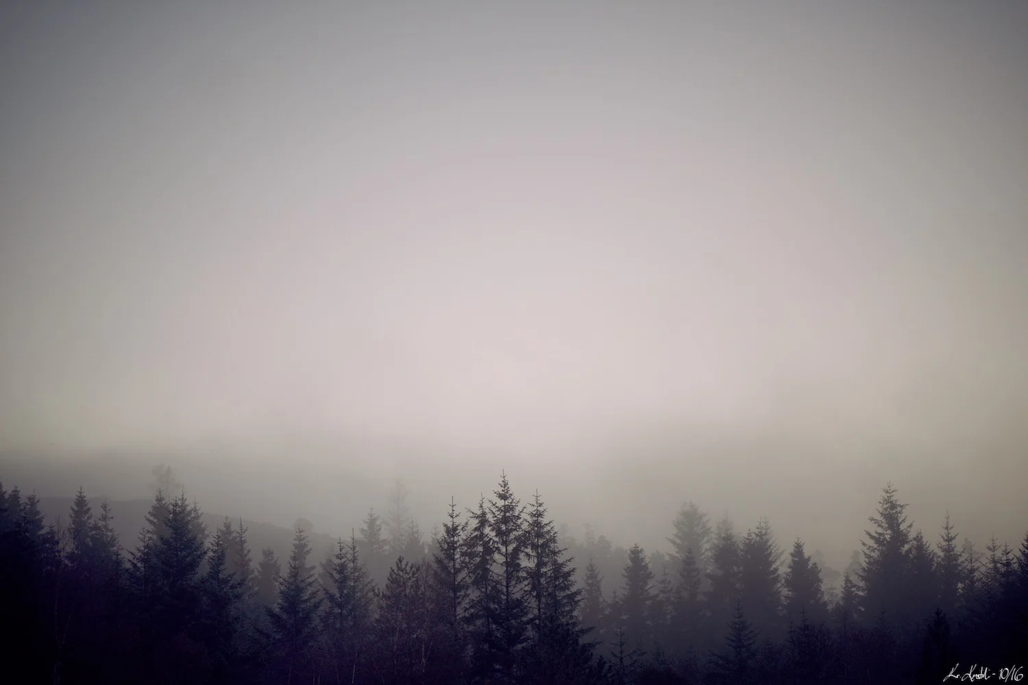 Signatur - minimalistisk 10.jpg