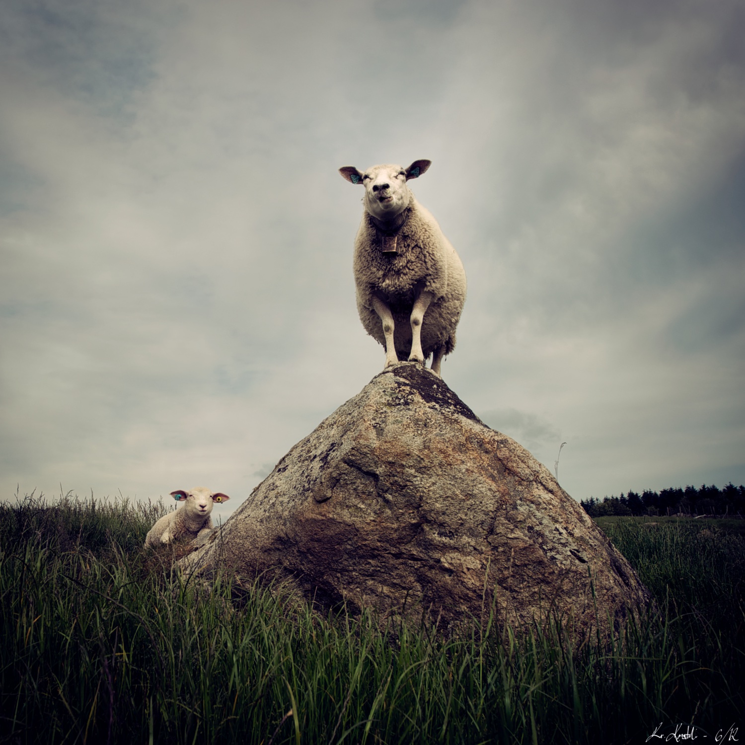 Signatur - sau 3.jpg