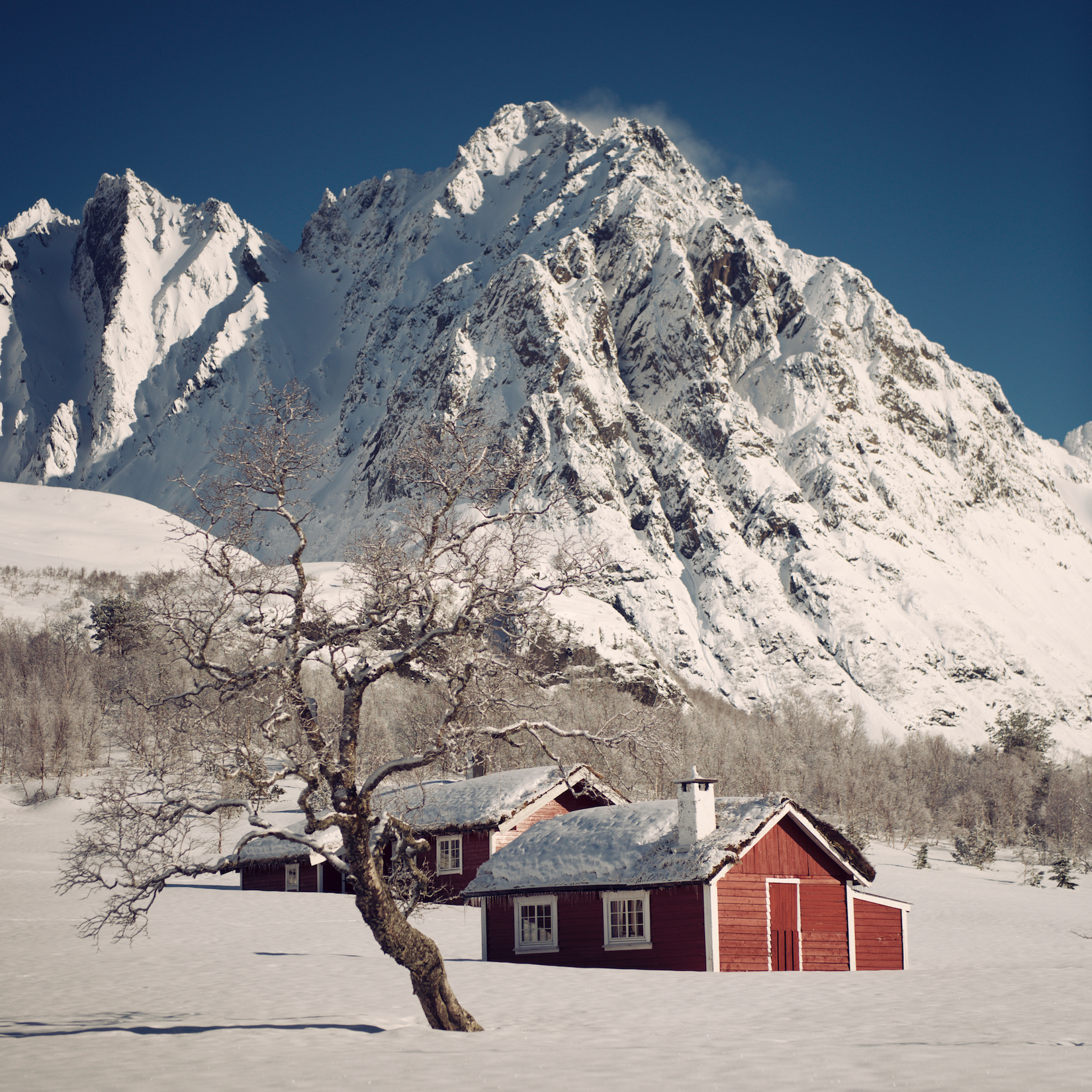 Rustic 15.jpg