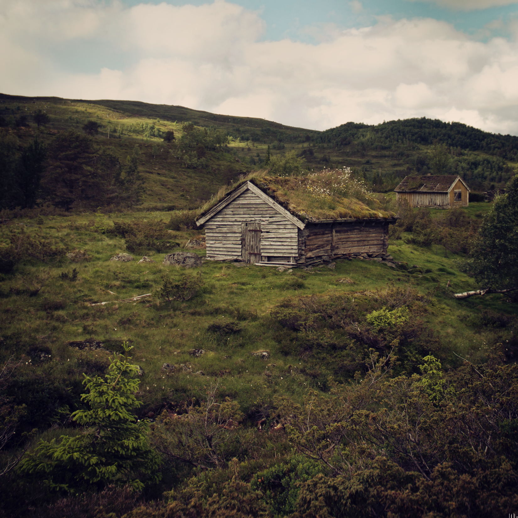 Rustic 22.jpg