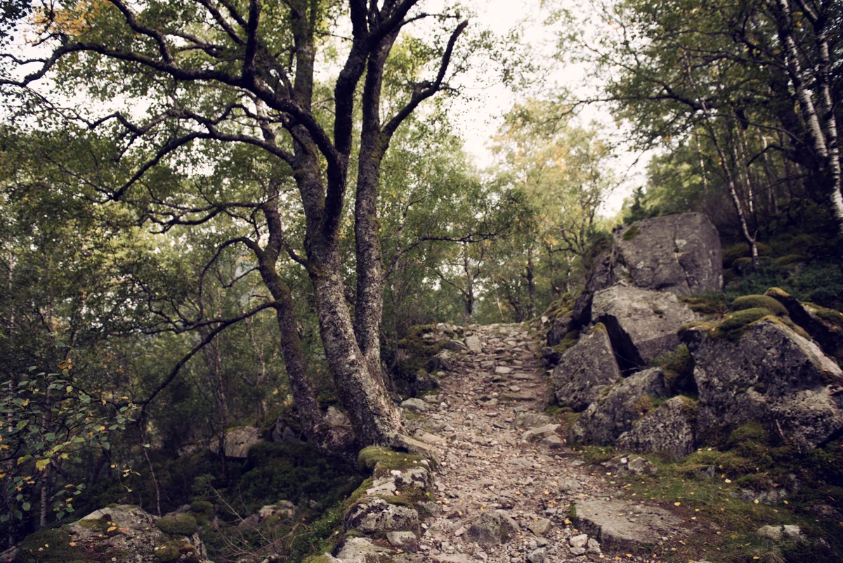 Outdoor life (24 of 24).jpg