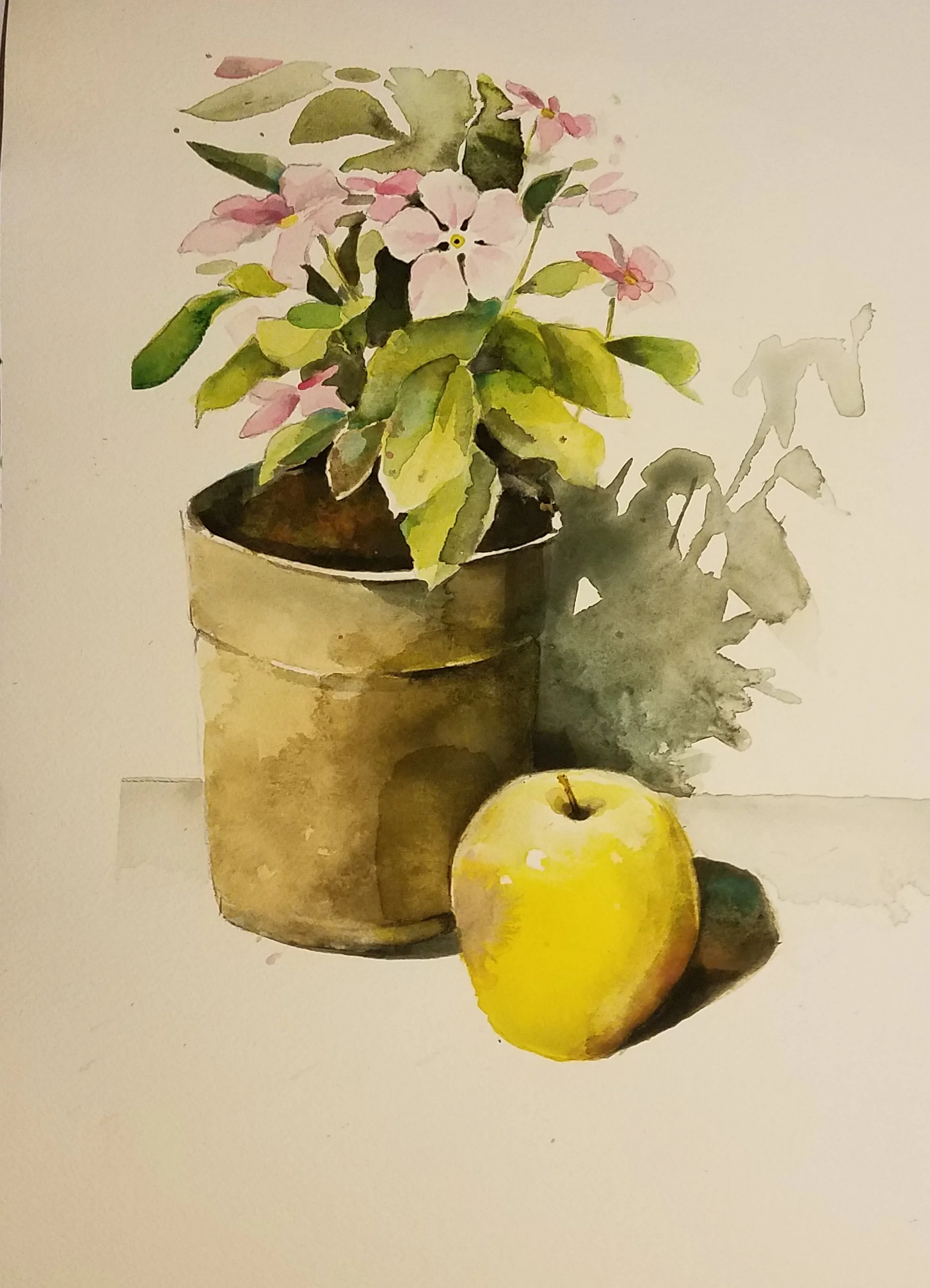 Watercolor - All Skill Levels